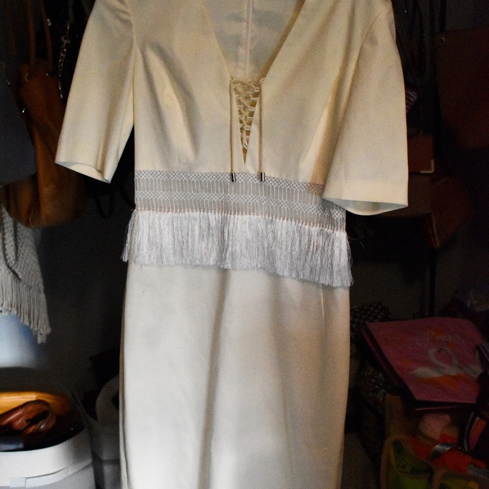 Altuzarra Sheath Dress / Size: FR40, US M / Color: Champagne/Cream/Off White